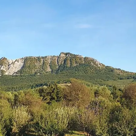 Viola Apartman Hotel