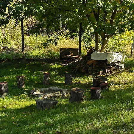 Viola Apartman Hotel *