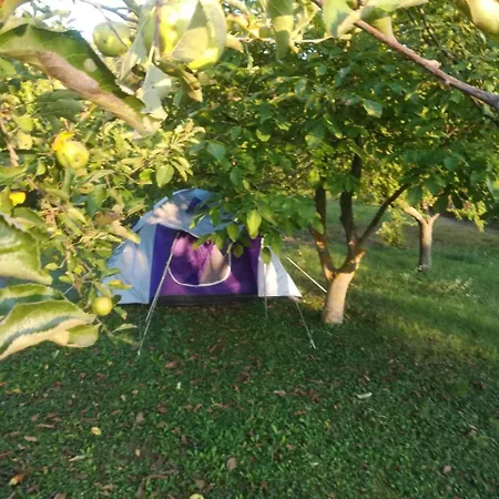 Viola Apartman *