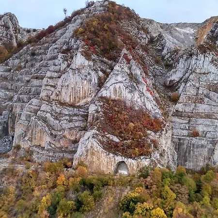 Hotel Viola Apartman *