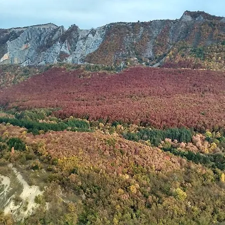 Viola Apartman Hotel *