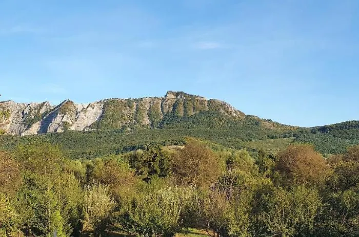 Viola Apartman Hotel