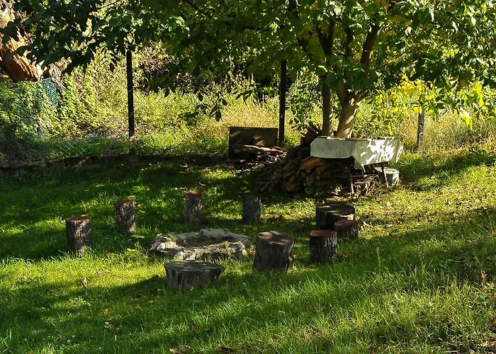 Viola Apartman Hotel *