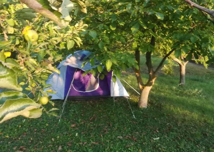 Viola Apartman *