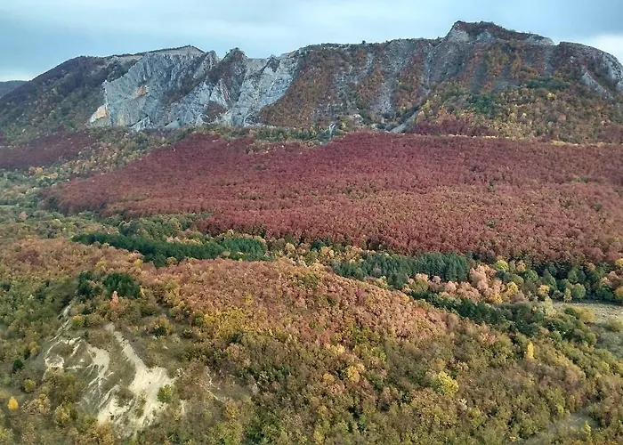 Viola Apartman Hotel *